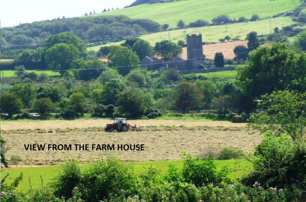 Wonderful Setting Farmhouse Apartment Wicklow Exterior photo